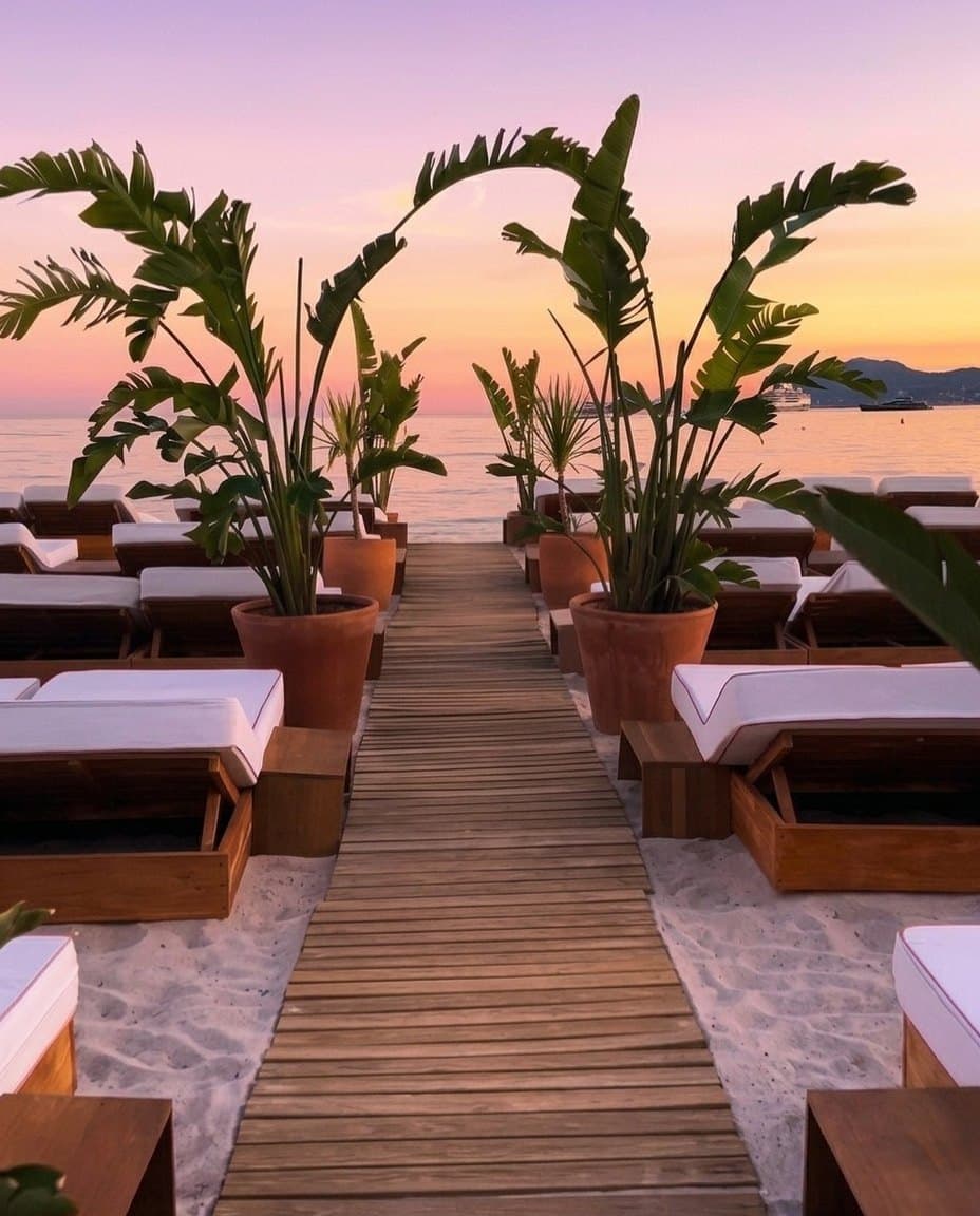 Allée en bois entre des strelitzias menant à la mer au coucher du soleil, plage privée de la Croisette à Cannes
